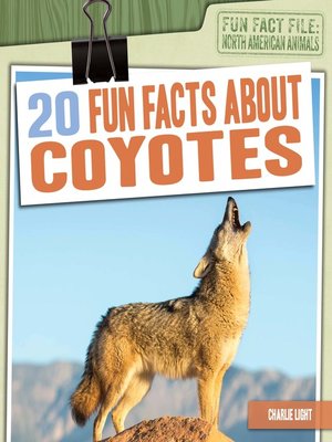 cover image of 20 Fun Facts About Coyotes